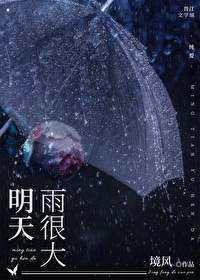 明天雨很大小说境风免费阅读