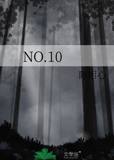 no.10是什么